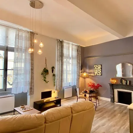 O'de- Centre - Proche Cité Médiévale -canal Du Midi - Wifi - Idéal Couple Et Professionnel