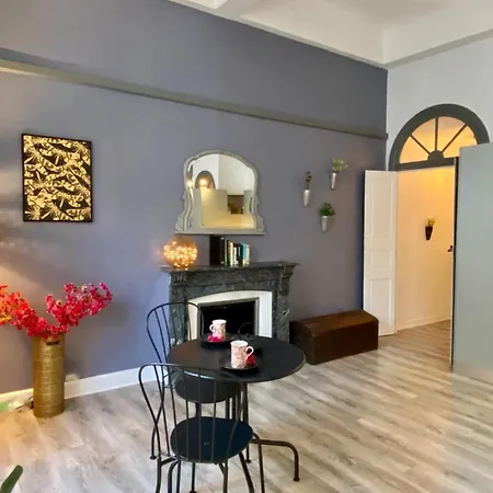 O'de- Centre - Proche Cite Medievale -canal Du Midi - Wifi - Ideal Couple Et Professionnel Апартаменти Каркассонн