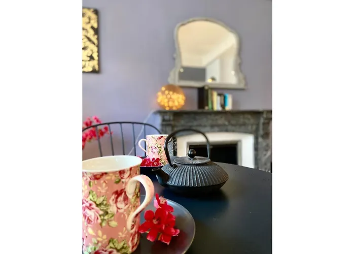 O'de- Centre - Proche Cite Medievale -canal Du Midi - Wifi - Ideal Couple Et Professionnel Апартаменти Каркассонн