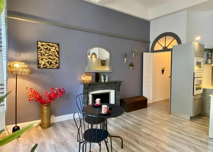 O'de- Centre - Proche Cite Medievale -canal Du Midi - Wifi - Ideal Couple Et Professionnel Апартаменти Каркассонн